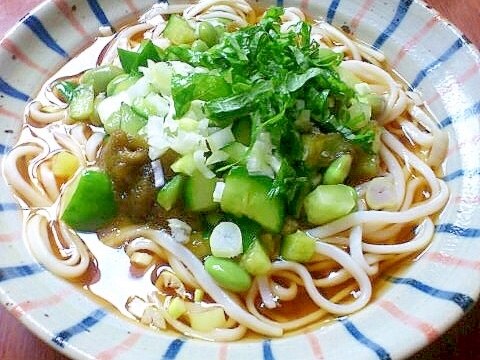 えだまめときゅうりの冷たいうどん